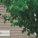 Сайдинг Ю-Пласт TIMBERBLOCK Пихта (Тимберблок) Cахалинская купить в Ростове